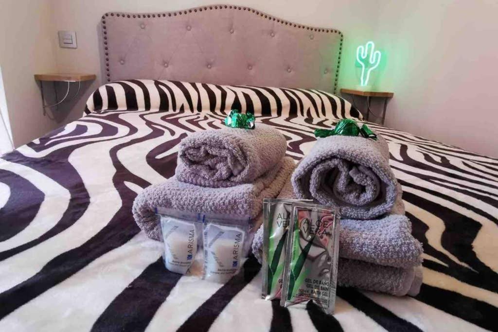 Acogedor Apartamento En El Centro De Santander Apartment Luaran gambar